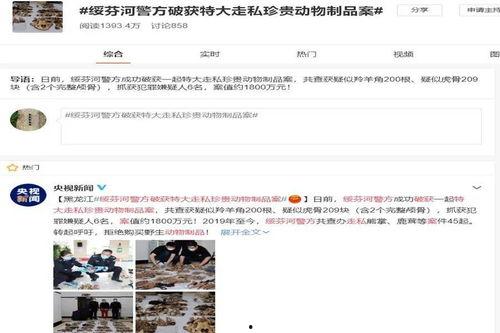 绥芬河媒体爆料最新消息,媒体披露惊人内幕，事件真相令人震惊！