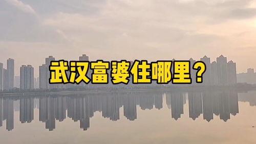 武汉买房最新爆料,最新爆料揭示购房新趋势