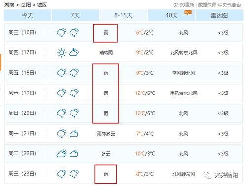 岳阳最新爆料消息公布